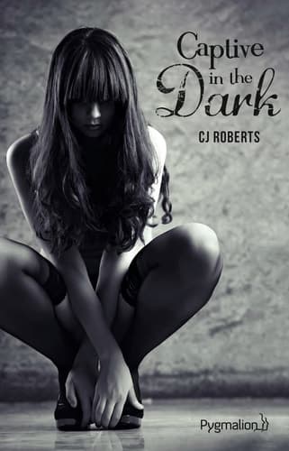 Captive in the dark cover