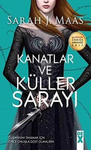 Kanatlar ve Küller Sarayi cover