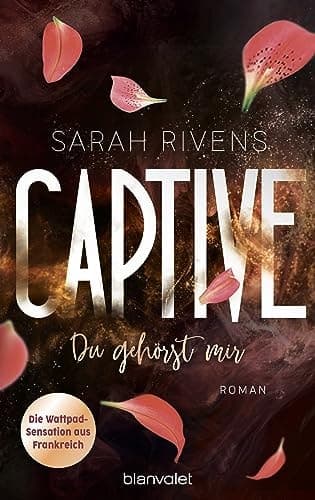 Captive - Du gehörst mir Roman cover