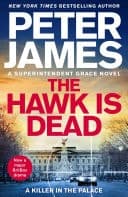 The Hawk is Dead cover