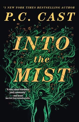 Into the Mist A Novel cover