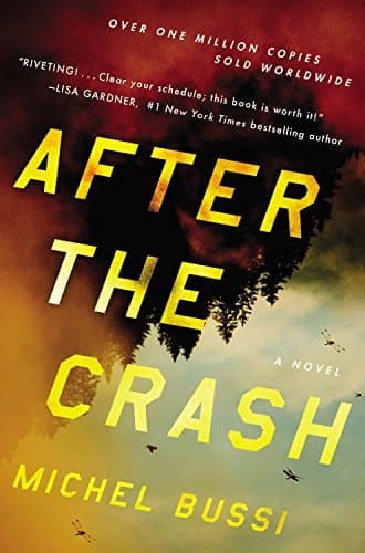 After the Crash A Novel cover