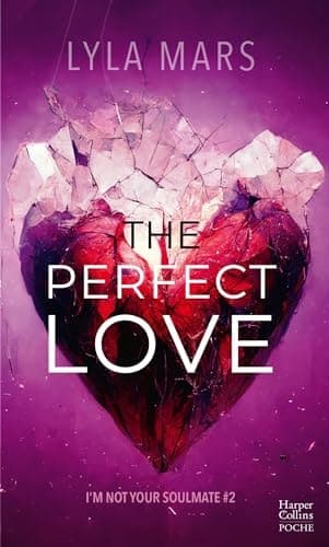 The perfect love cover