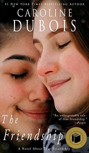 The Friendship A Novel About True Friendship cover