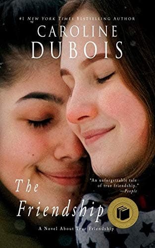 The Friendship A Novel About True Friendship cover