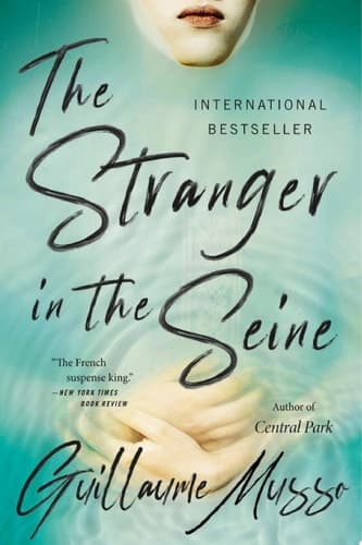 The Stranger in the Seine cover