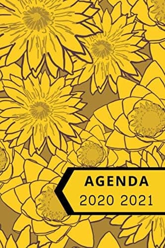 Agenda 2020 2021: Agenda Scolaire Semainier, 1 Semaine sur 2 Pages, un Calendrier pour la rentrée scolaire 2020 2021 de Septembre 2020 à Septembre 2021 (French Edition) cover