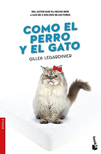 Como el perro y el gato cover