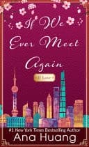 If We Ever Meet Again cover