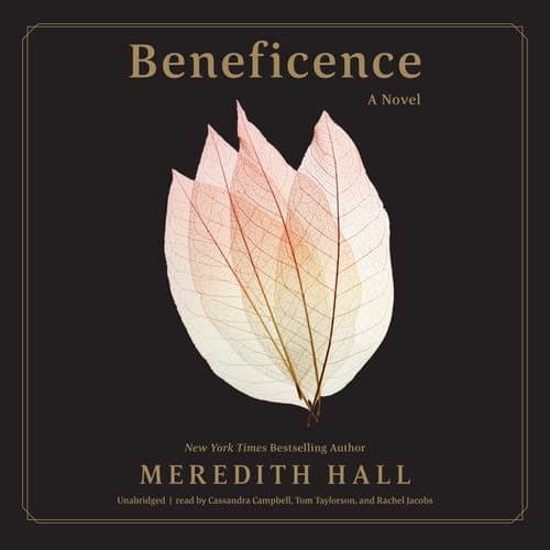 Beneficence: A Novel cover
