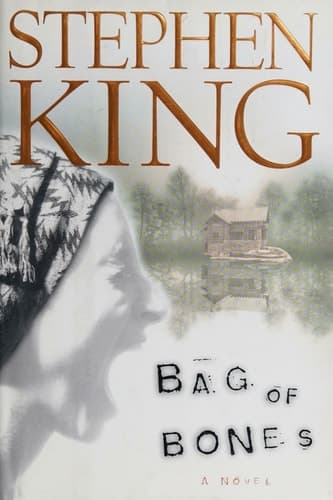 Bag of Bones cover