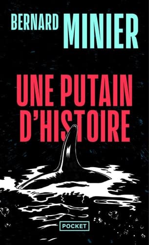 Une putain d'histoire cover