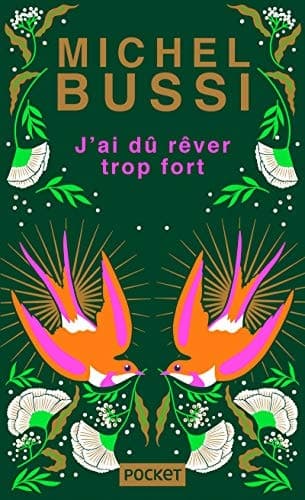 J'ai dû rêver trop fort cover