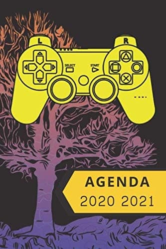 Agenda 2020 2021: Agenda Scolaire Semainier, 1 Semaine sur 2 Pages, un Calendrier pour la rentrée scolaire 2020 2021 de Septembre 2020 à Septembre 2021 | Agenda Gamer (French Edition) cover