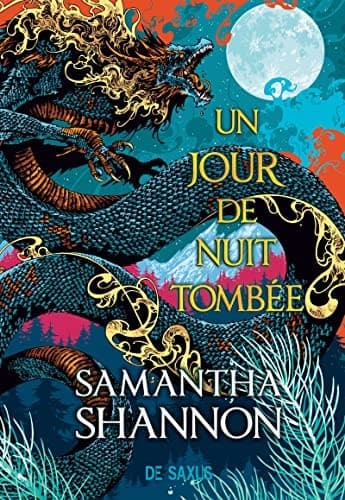 Un jour de nuit tombée cover