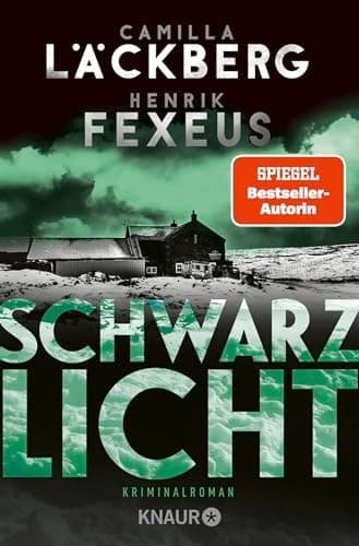 Schwarzlicht Kriminalroman cover