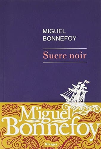 Sucre noir (French Edition) cover