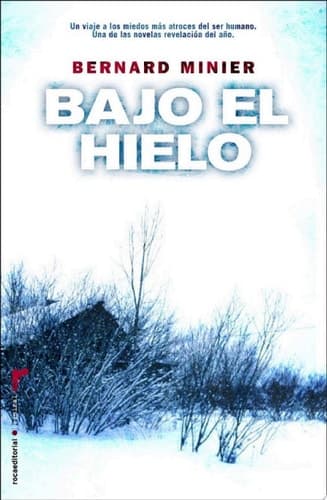 Bajo el hielo cover