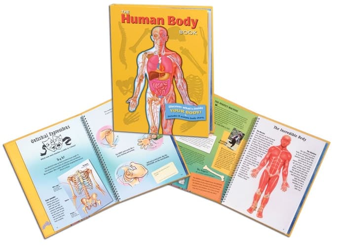 The human body book : discover what's inside your body! includes 4 acetate body charts cover