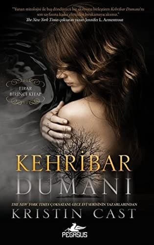 Kehribar Dumani Firar 1. Kitap cover