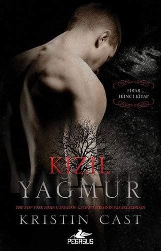 Kizil Yagmur - Firar 2.Kitap cover