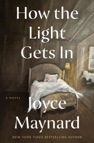 How the Light Gets In A Novel cover