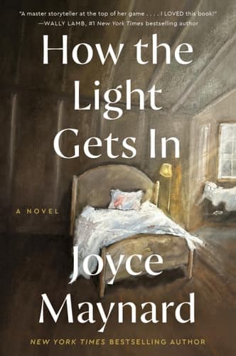 How the Light Gets In A Novel cover