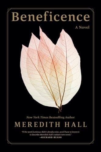 Beneficence A Novel cover