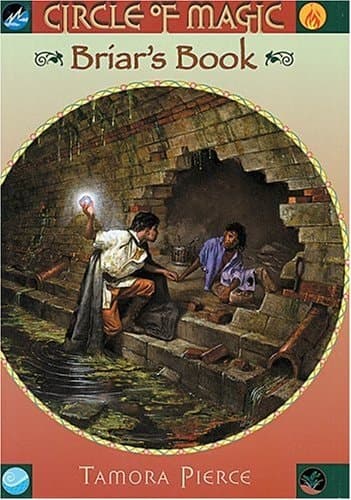 Briar's Book cover