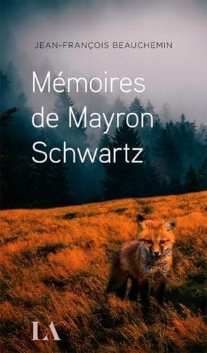 Mémoires de Mayron Schwartz cover